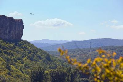 Прикрепленное изображение: IMG_7474м.jpg